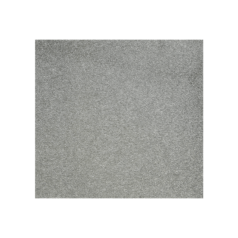 Sølv ion filter svamp